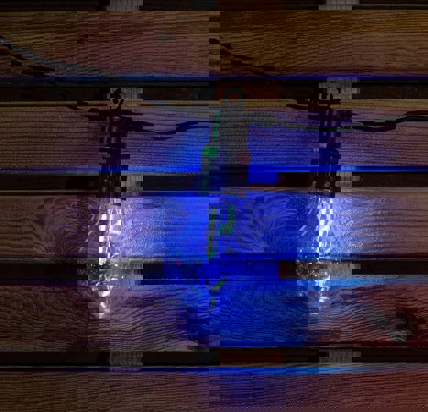 Samuel Alexander Set of 20 Indoor Outdoor Connectable Festoon Lights with Multi-Coloured LEDs