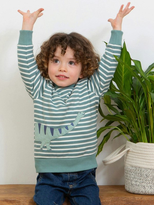 Kite Boys Organic Dippy Dino Sweatshirt