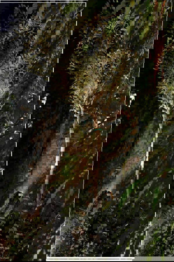 Luxform Lupi Intelligent Solar LED Spike Light