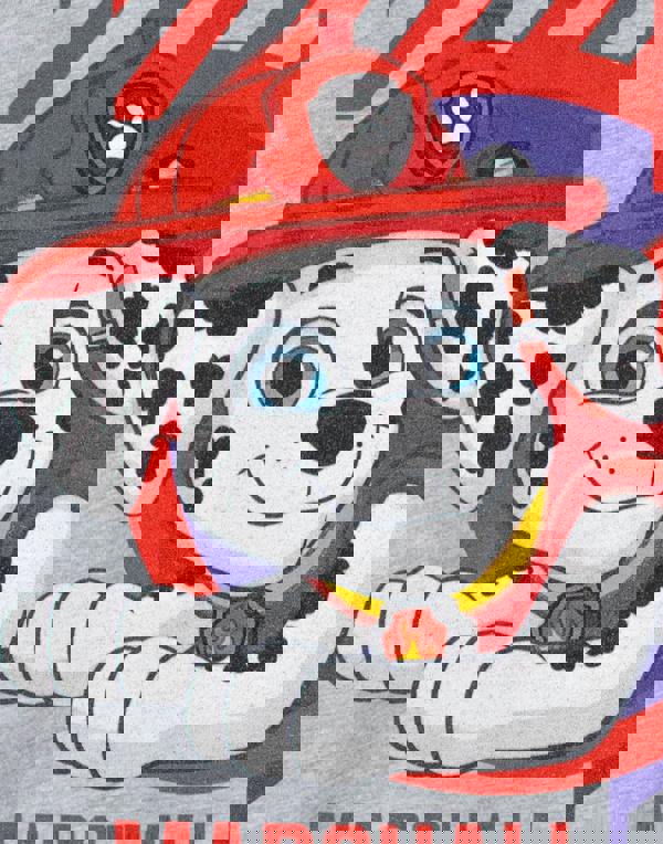 Paw Patrol Boys Grey Marshall Short Sleeved T-Shirt