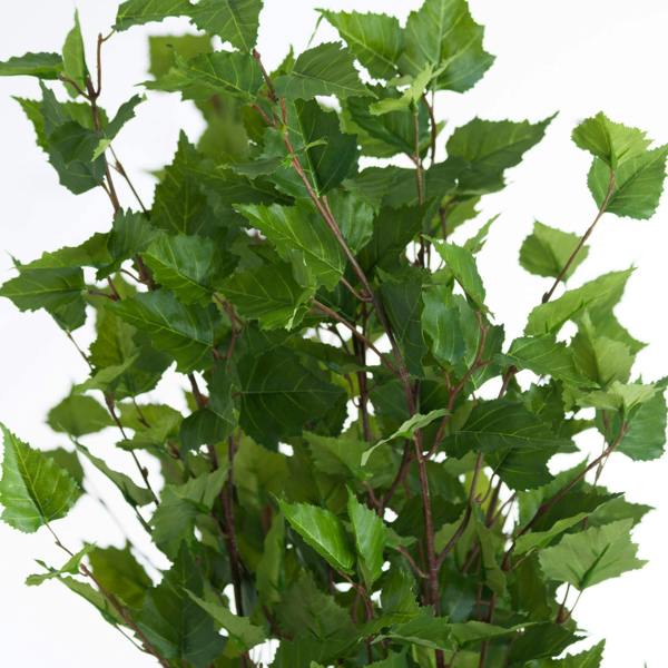 Wyld Haus Set of 3 Artificial Flowers Green Branch Sprays