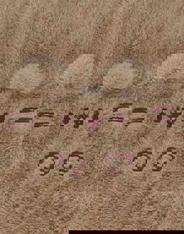 Pusheen Womens Brown Novelty face Hot Water Bottle (One Size)