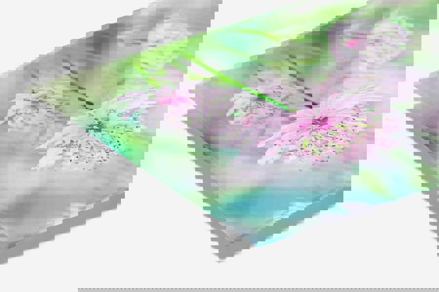 flower print on acrylic perspex glass mount