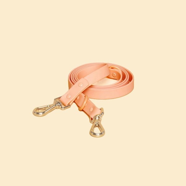 Westley Double Clip Dog Lead