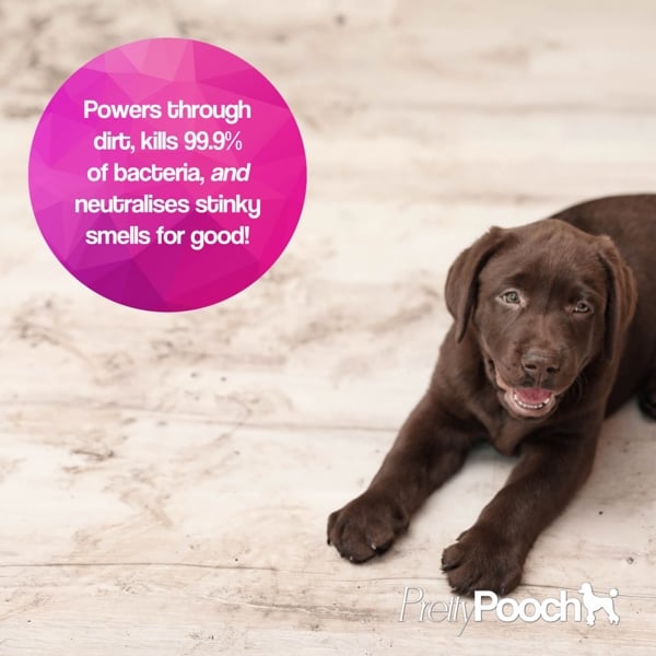 Pretty Pooch Pet Steam Detergent for Steam Mops Kills 99.9% of Bacteria Neutralises Stinky Odours