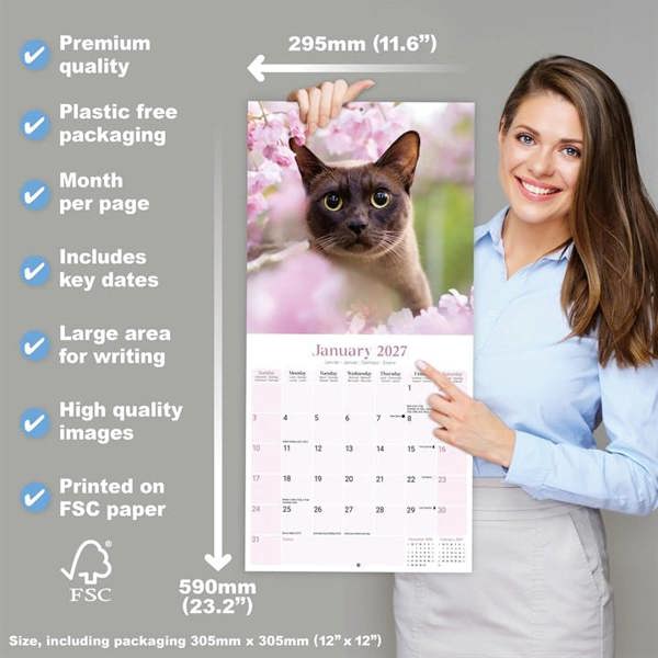 Burmese Cats Calendar 2027, Wall Calendars, Month To View, Cats, Gift