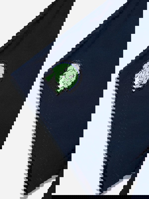 Roarsome Boys Spike The Dinosaur Swim Shorts in Navy