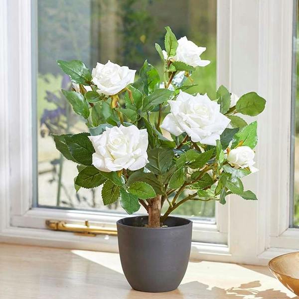 Regents 40cm Potted Artificial Roses in Ruby Red, Perfect Pink & Pure White - White