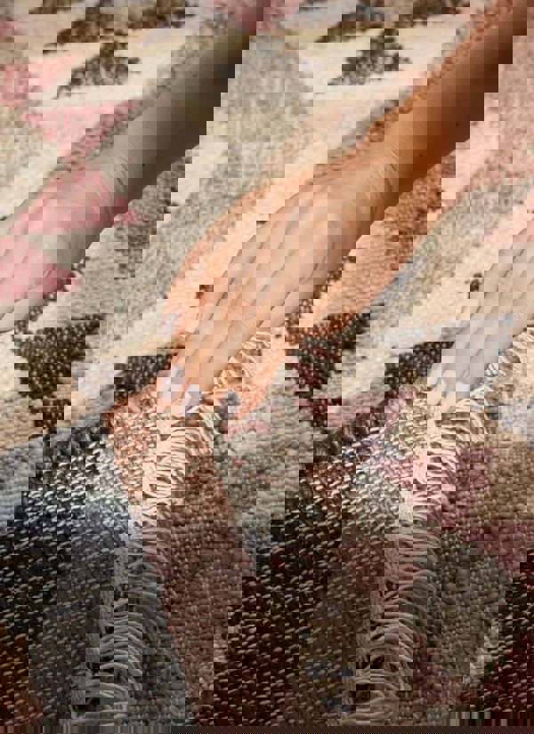 The Rugs Roya Afghan Kelim Rug – Parsa Cream Multicolour