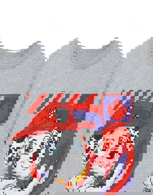 Paw Patrol Boys Grey Marshall Short Sleeved T-Shirt