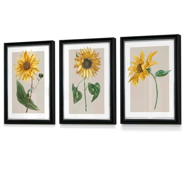 Artze Wall Art Vintage Yellow Sunflowers Set of 3 Framed Prints