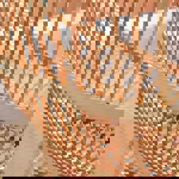 Weilai Concept Trivedi Moon Armchair With Seat Cushion, Rattan