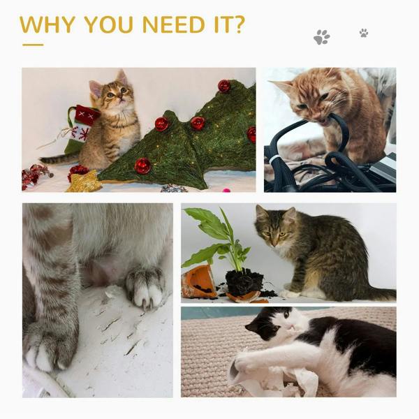 Cats playing with pet toys and scratching surfaces