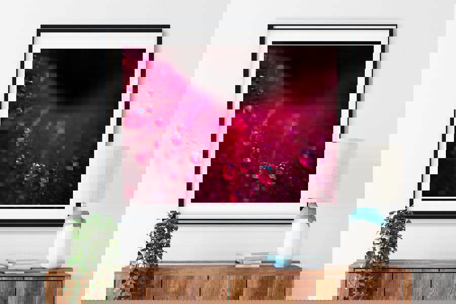 Fresh red rose photo art print close up angle