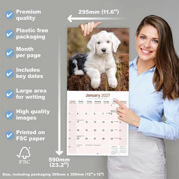 Old English Sheepdog Calendar 2027, Wall Calendars, Month To View, Dogs, Gift