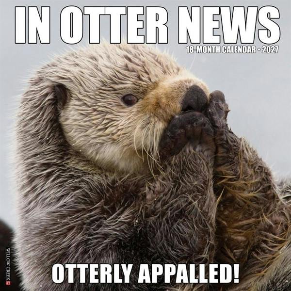 In Otter News Calendar 2027, Wall Calendars, Month To View, Animals, Gift