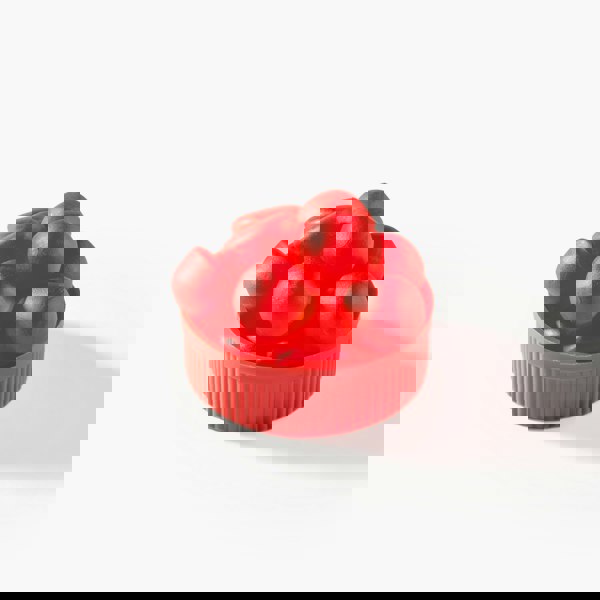 Myga Apple Cider Vinegar Gummies – Apple Flavour Metabolism & Energy Support