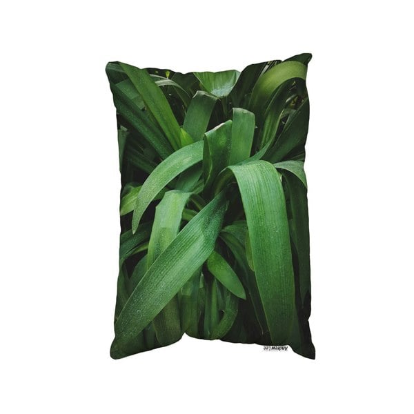 Benjamin Tate Design Tropical Leaves Closeup, Greenhouse, Atmospheric Background, Selective Focus (Outdoor Cushion)