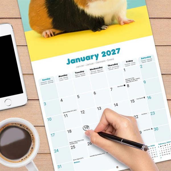 Guinea Pigs Calendar 2027, Wall Calendars, Month To View, Animals, Gift