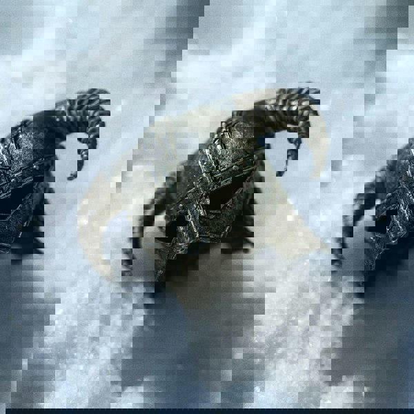 MCSlots Elder Scrolls V Skyrim Dragonborn Articulated Figure 1:6 Scale PA001SKY