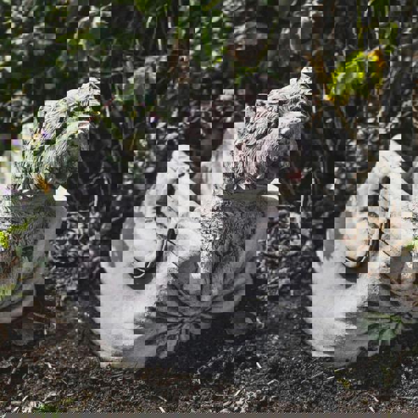 Puppy in Bag Stone Planter