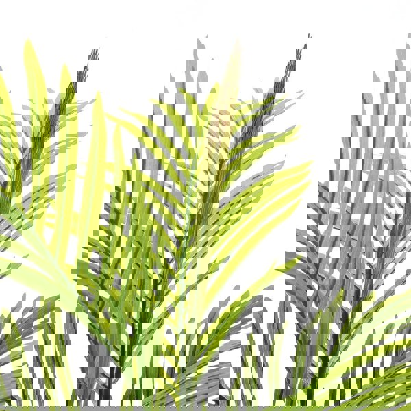 Artificial Potted Palm Tree for Home Decoration Artificial Plants Living and Home
