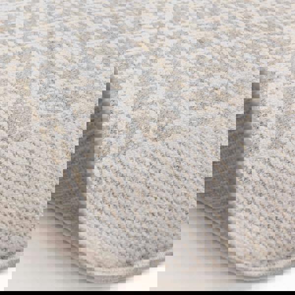 Asiatic Anders AN10 Border Rug