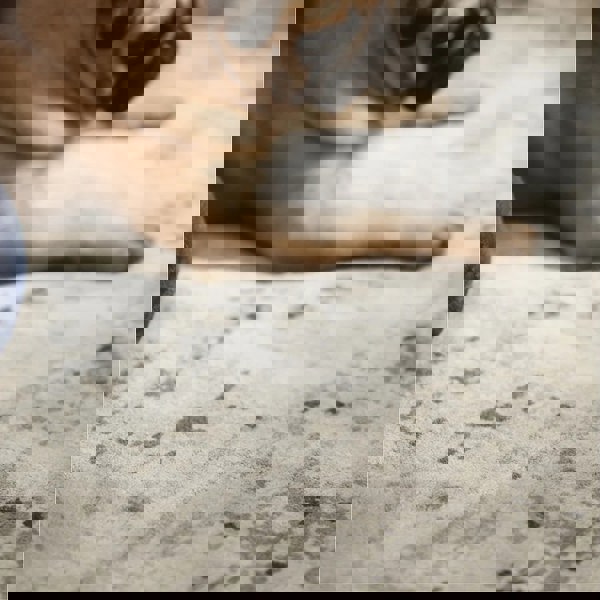 Rug Guru Persia Fossil Cloud