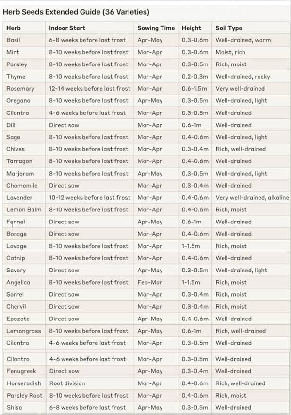 A3 laminated herb planting calendar showing sowing, planting, and harvesting times for 36 herbs.
