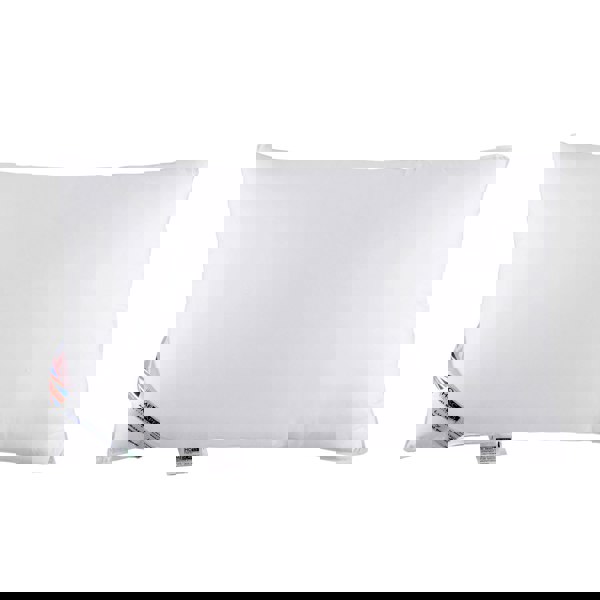 HOMESCAPES Anti Bacterial Pillow Super Microfibre, 48 x 74 cm