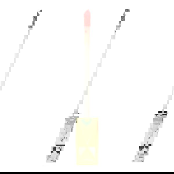 Max Factor Colour Elixir Honey Lacquer 20 Indulgent Coral Lipstick 3.8ml