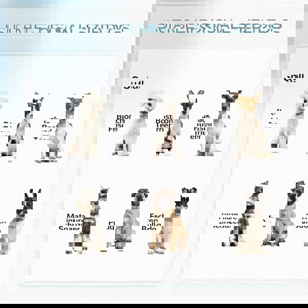 D06-074V02GY