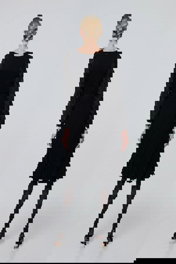 Black | Semi Sheer Pleated Knee length Dress
