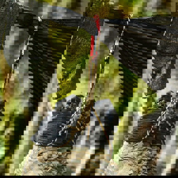 t4option1_1