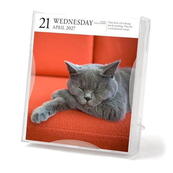 Cat Gallery Desk Calendar 2027, Desk Calendars, Day To View, Cats, Gift