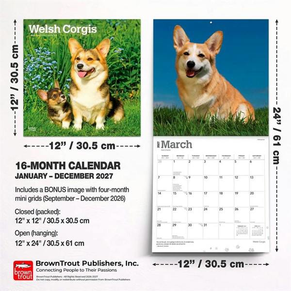 Welsh Corgis Calendar 2027, Wall Calendars, Month To View, Dogs, Gift