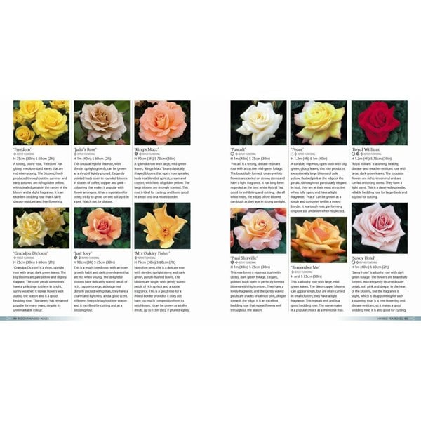 BBC Books Alan Titchmarsh How to Garden: Growing Roses