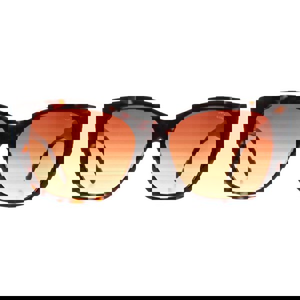 Barbour Sunglasses 3032 102 Havana Brown Gradient