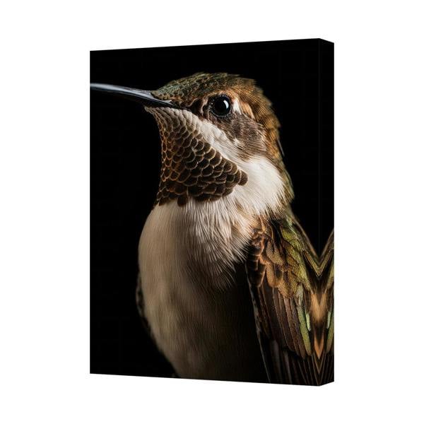 Benjamin Tate Design Hummingbird Canvas Wall Art Print Nature Bird Portrait Decor