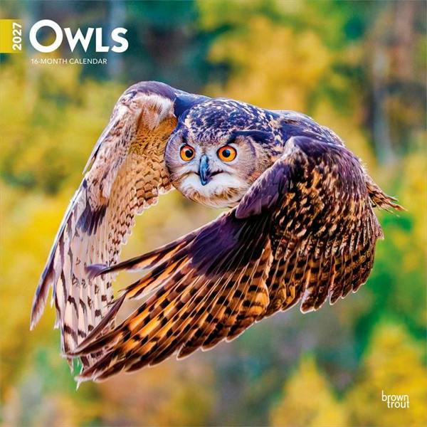 Owls Calendar 2027, Wall Calendars, Month To View, Animals, Gift