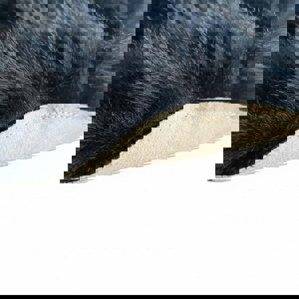 HomeSpace Direct Luxury Faux Rabbit Fur Rug Light Grey