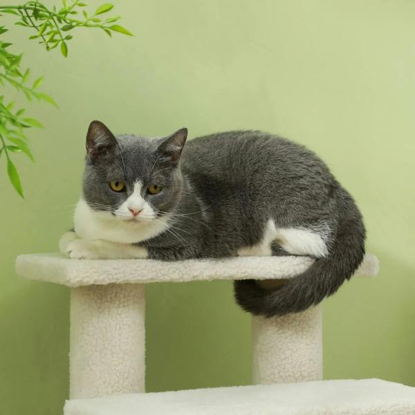 Cream 4-step pet stairs with plush top platform, cat resting on the step