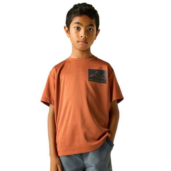 Regatta Childrens/Kids Alvarado Back Print T-Shirt - Brick - 