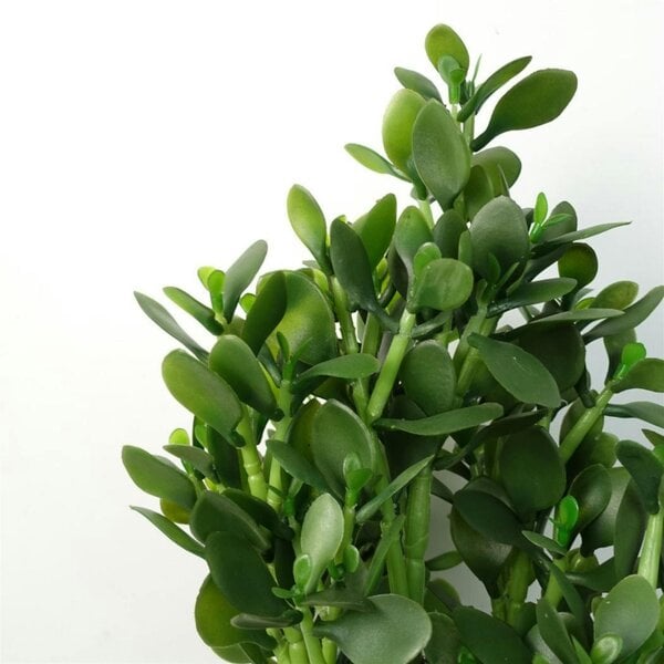 Dyzi 75cm Artificial Jade Plant Deluxe Potted Faux Green House Plant