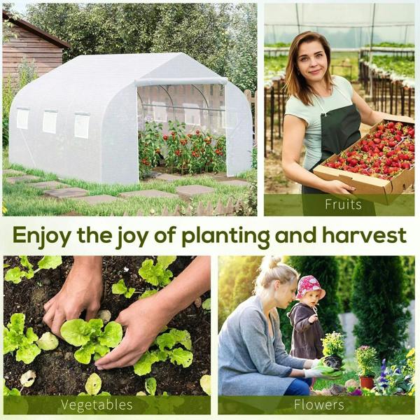 White walk-in polytunnel greenhouse with front door opening and side window panels