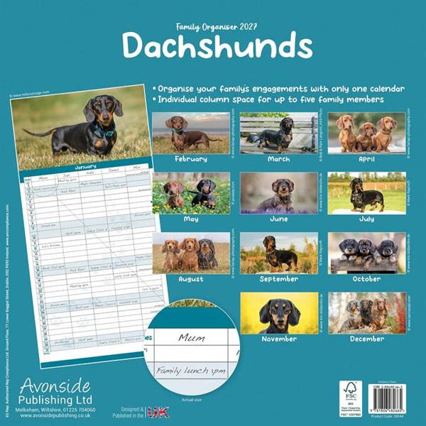 Dachshund Family Organiser 2027, Family Planners, Month To View, Dogs, Gift