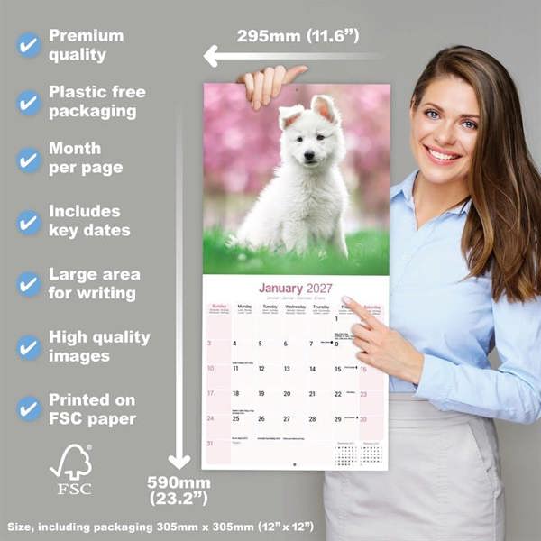 White Shepherd Calendar 2027, Wall Calendars, Month To View, Dogs, Gift