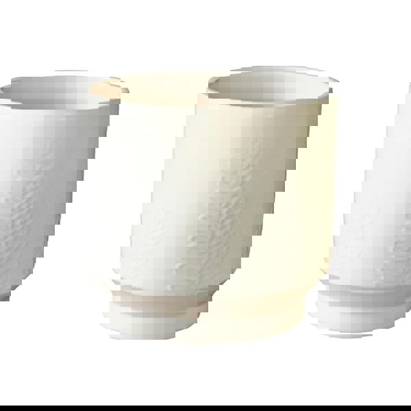 #color_ivory
