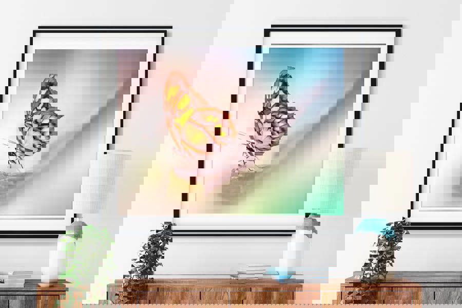 malachite butterfly art print for sale