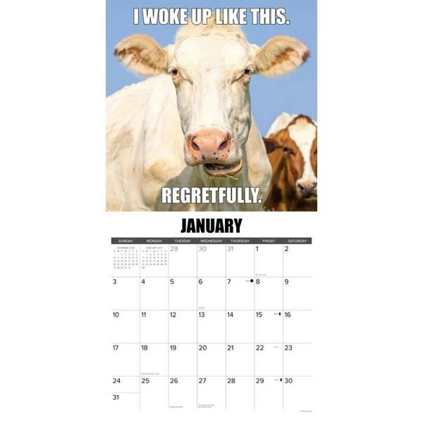 Not In The Mooood Calendar 2027, Wall Calendars, Month To View, Animals, Gift